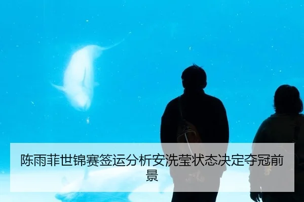陈雨菲世锦赛签运分析安洗莹状态决定夺冠前景