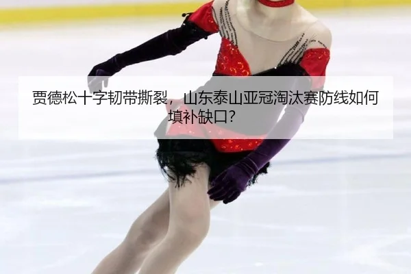 jia-de-song-shi-zi-ren-dai-si-lie-shan-dong-tai-shan-ya-guan-tao-tai-sai-fang-xian-ru-he-tian-bu-que-kou-3-380.jpg