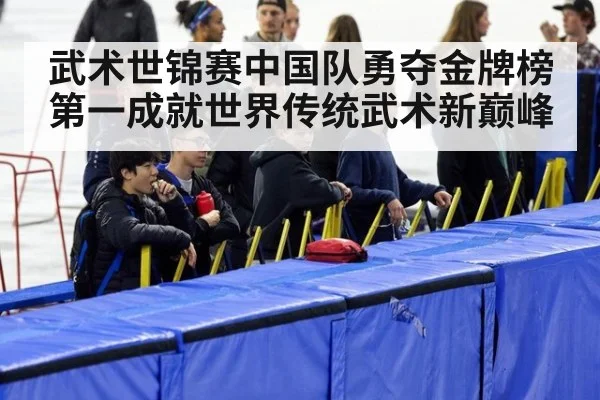 武术世锦赛中国队勇夺金牌榜第一成就世界传统武术新巅峰